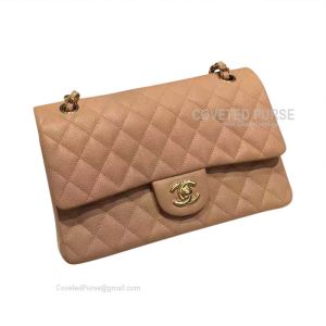 Chanel Medium Flap Bag Caramel Caviar With Gold HW