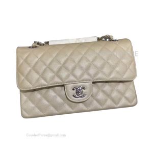 Chanel Medium Flap Bag Champagne Caviar With Silver HW