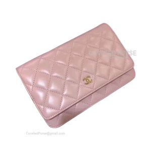 Chanel Flap WOC Lambskin With Gold HW Light Pink