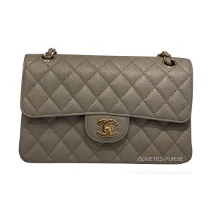 Chanel Small Elephant Ash Caviar Flap Handbag with GHW