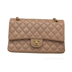 Chanel Medium milk tea Lambskin Flap Handbag with GHW