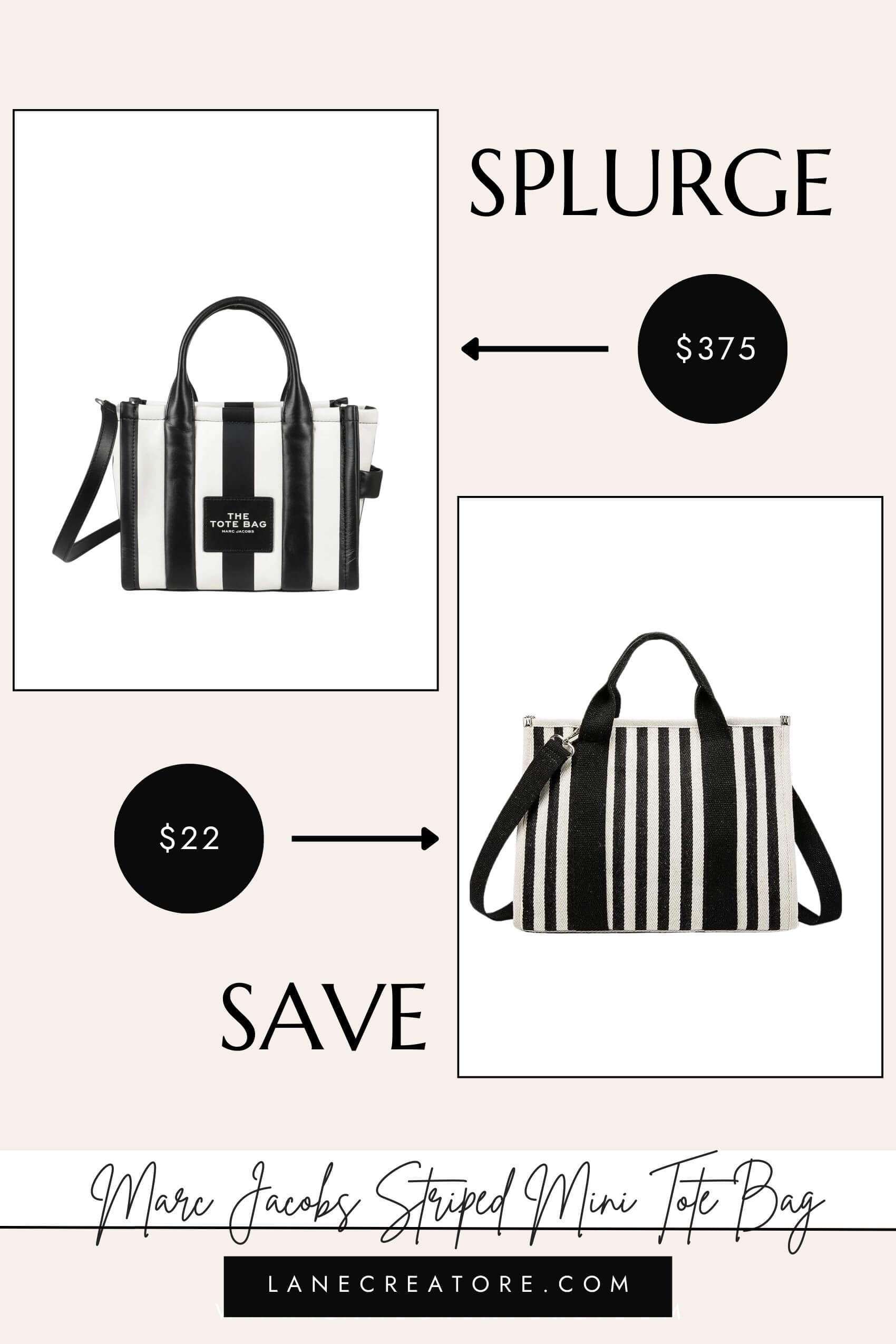 the tote bag dupes