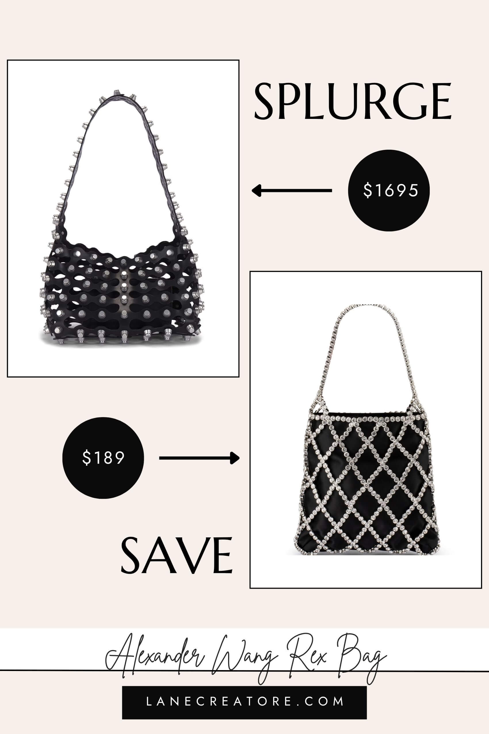 alexander wang rex bag dupe