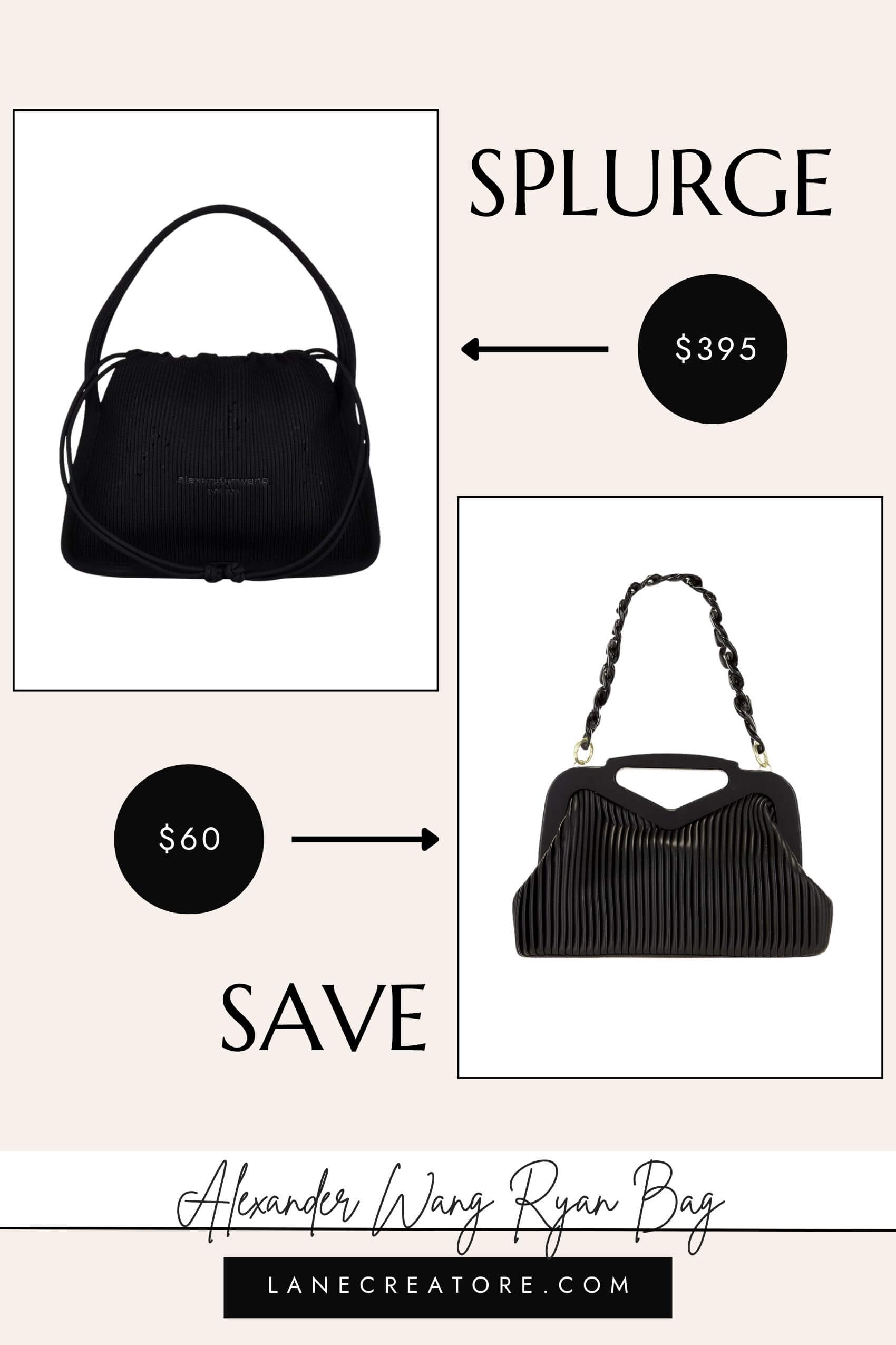 alexander wang ryan bag dupe