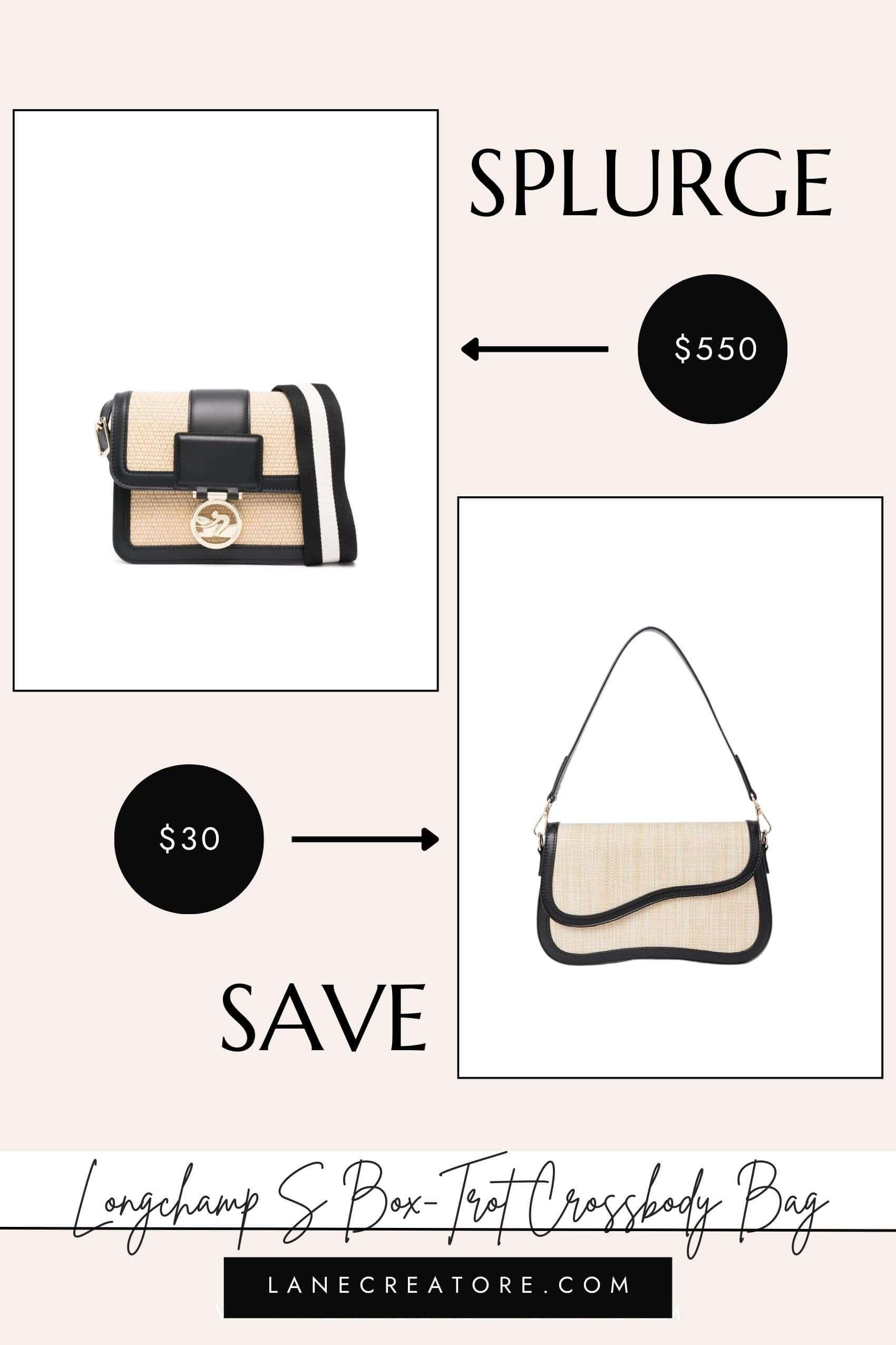 longchamp inspired bag