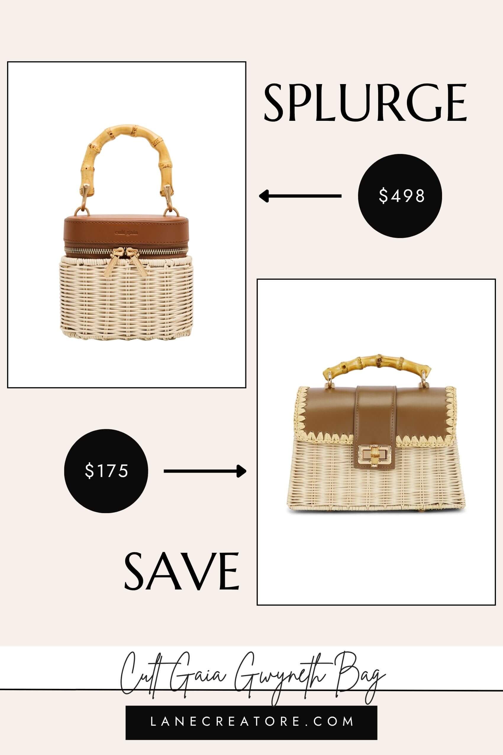 cult gaia gwyneth bag dupe
