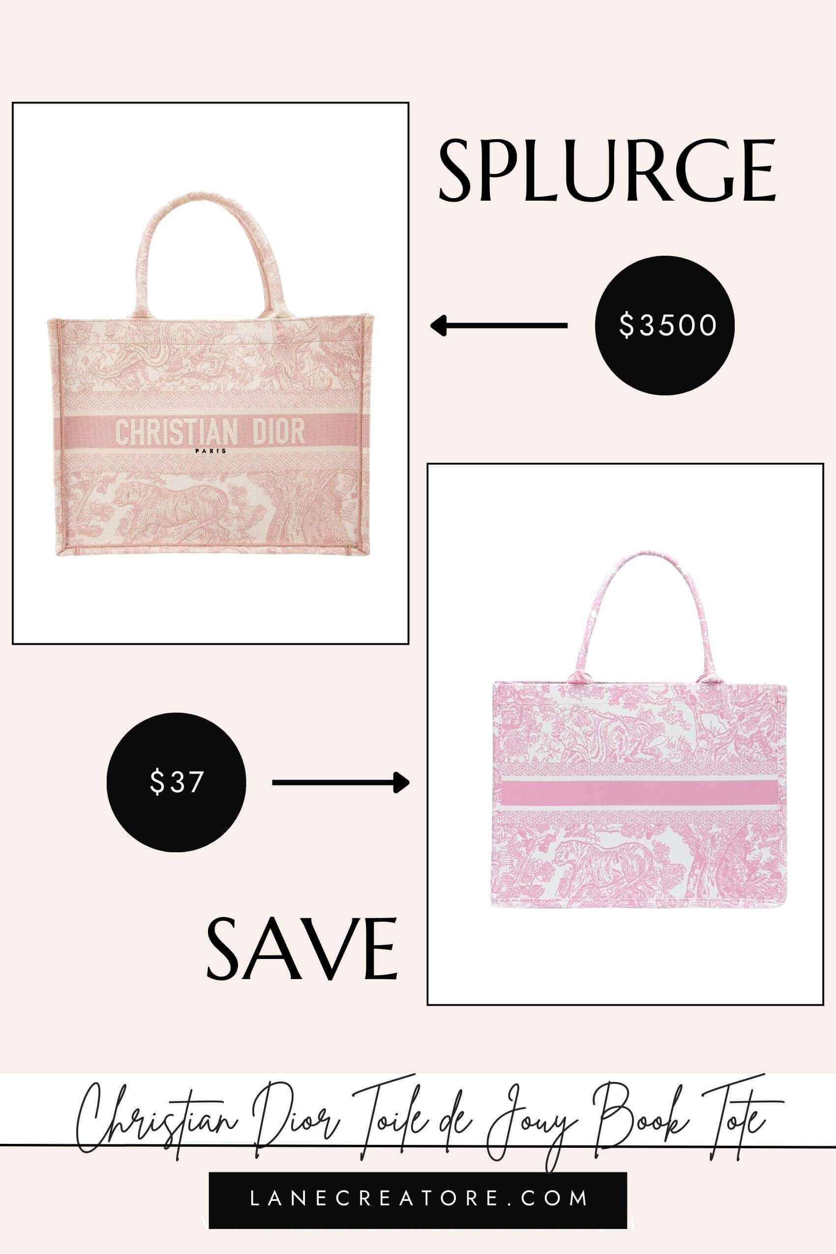christian dior book tote dupe amazon